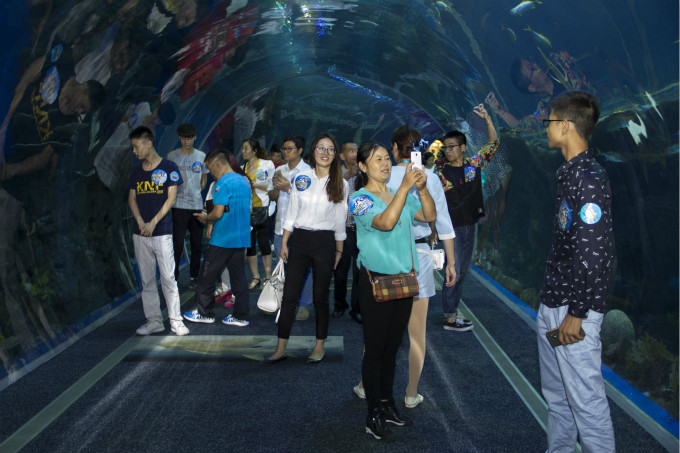 夏令營第二季，新華學(xué)子一起遨游海洋王國