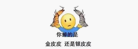 最近刷屏的“皮皮蝦”你知道是什么梗嗎？來(lái)，走起