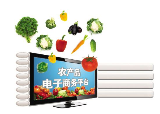 農(nóng)村電子商務(wù)發(fā)展的戰(zhàn)略與政策