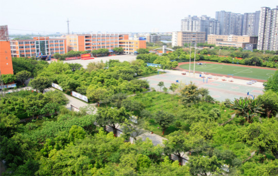 四川新華電腦學(xué)院校園贊