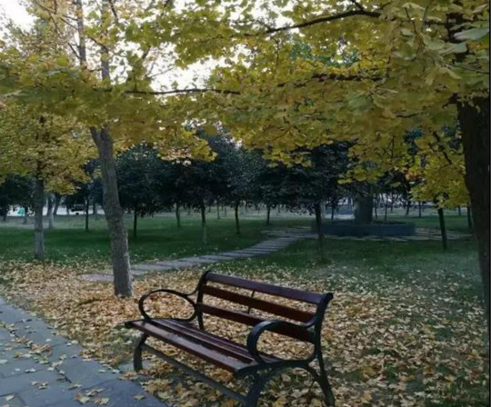 熱烈祝賀四川新華電腦學(xué)院榮獲“我與新華共成長(zhǎng)”主題征文一等獎(jiǎng)