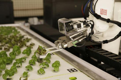 在美國(guó)，機(jī)器人開始代替農(nóng)民工作了？