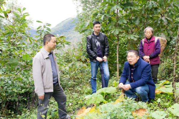 不忘初心 牢記使命 三下白羊鄉(xiāng) 助力農(nóng)村產(chǎn)業(yè)邁出新步伐！