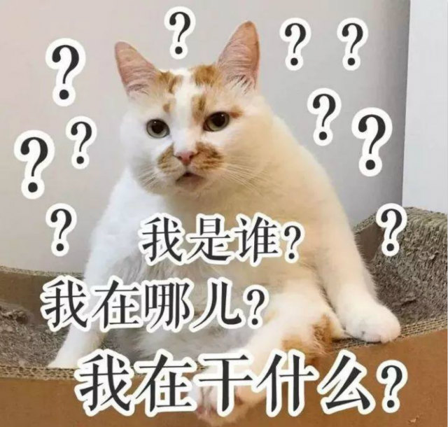 雙十一最新熱詞出爐，快來(lái)看看你有沒(méi)有中槍？