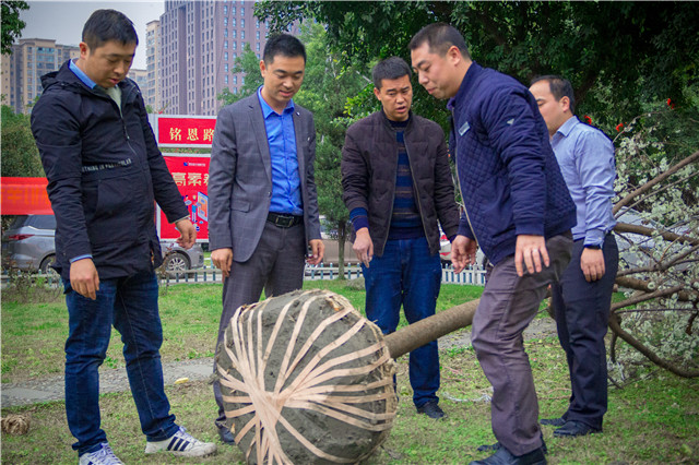 植樹節(jié)，在夢(mèng)想的地方栽下希望的綠色！