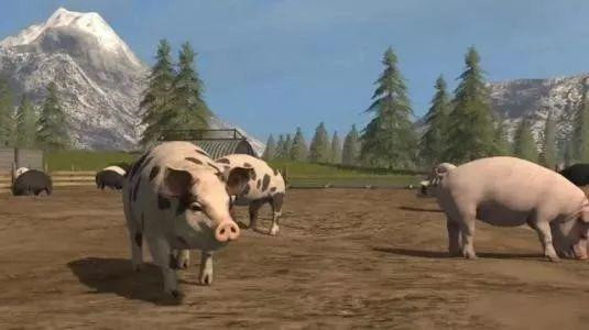 下一個30年，屬于用好互聯(lián)網(wǎng)的人