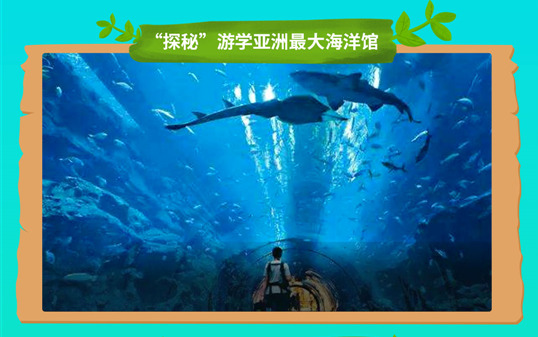 五一去哪兒？新華IT夏令營嗨爆小長假！