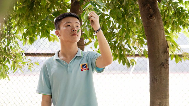 付忠?guī)洠焊绺缤扑]我來(lái)四川新華學(xué)互聯(lián)網(wǎng)技術(shù)