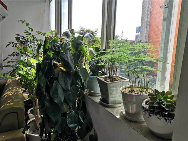 【優(yōu)秀教師專訪】做學(xué)生成長(zhǎng)成才的引路人