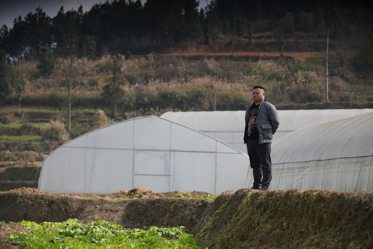 博士論文致謝走紅，讓我們看到了奮斗最好的樣子！