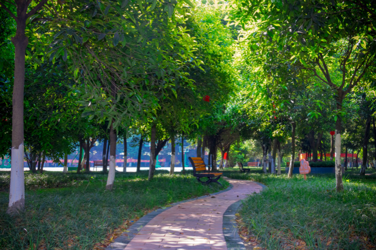 擇校心不慌 明星來探路！這份攻略你一定要看一下！