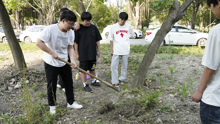 新風(fēng)采新青年|寓教于“種”，新攀高峰