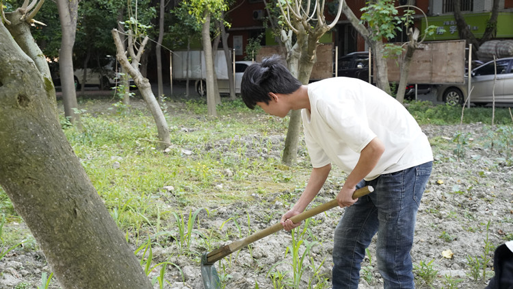 新風(fēng)采新青年|寓教于“種”，新攀高峰