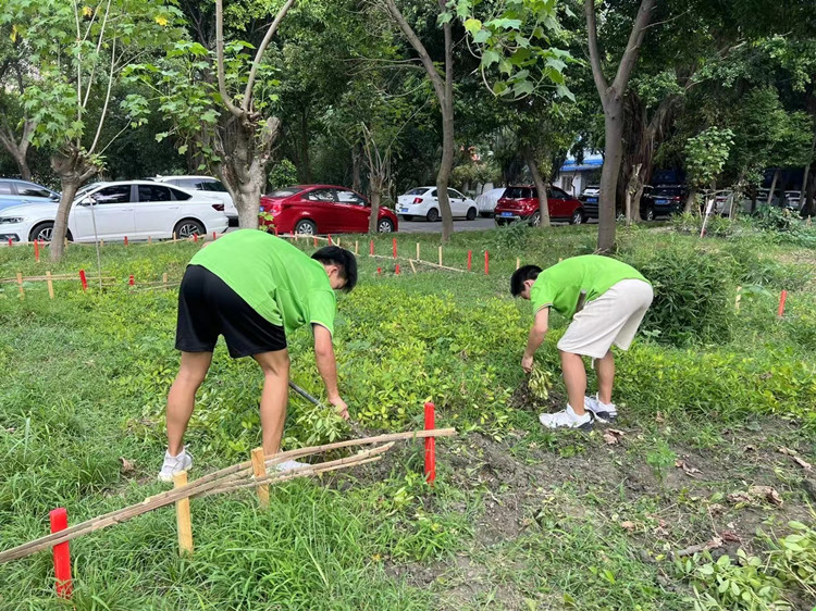 豐收季來襲！新華農(nóng)場喜迎豐收季~