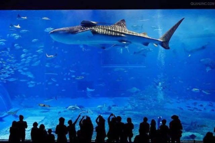 成都旅游攻略，這些景點(diǎn)你知道嗎？