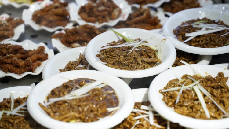 同學們深夜慎點！“舌尖上的新華”來啦~