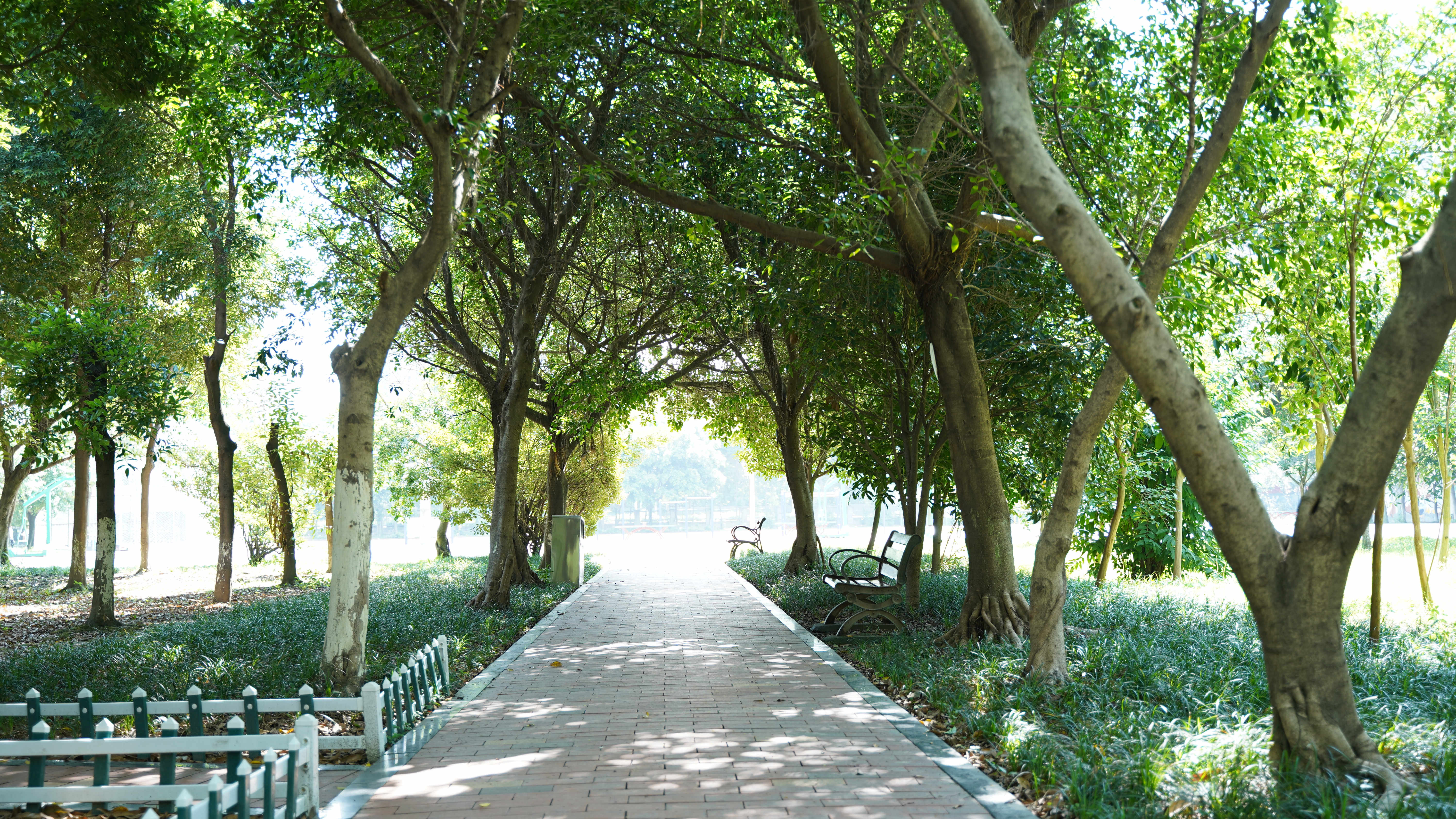 考不上初中怎么選學校？