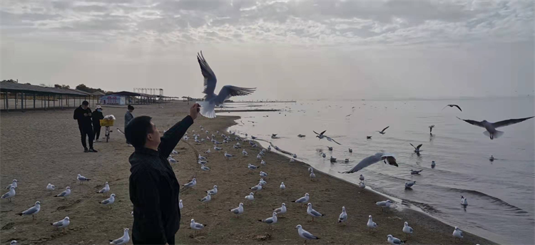 新華國(guó)賽技能之光——教師選手靳洋