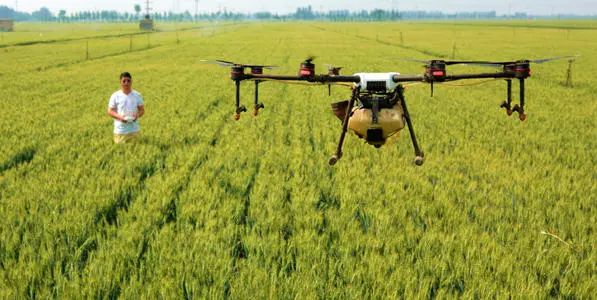 不想進廠，學真技術(shù)，就好業(yè)