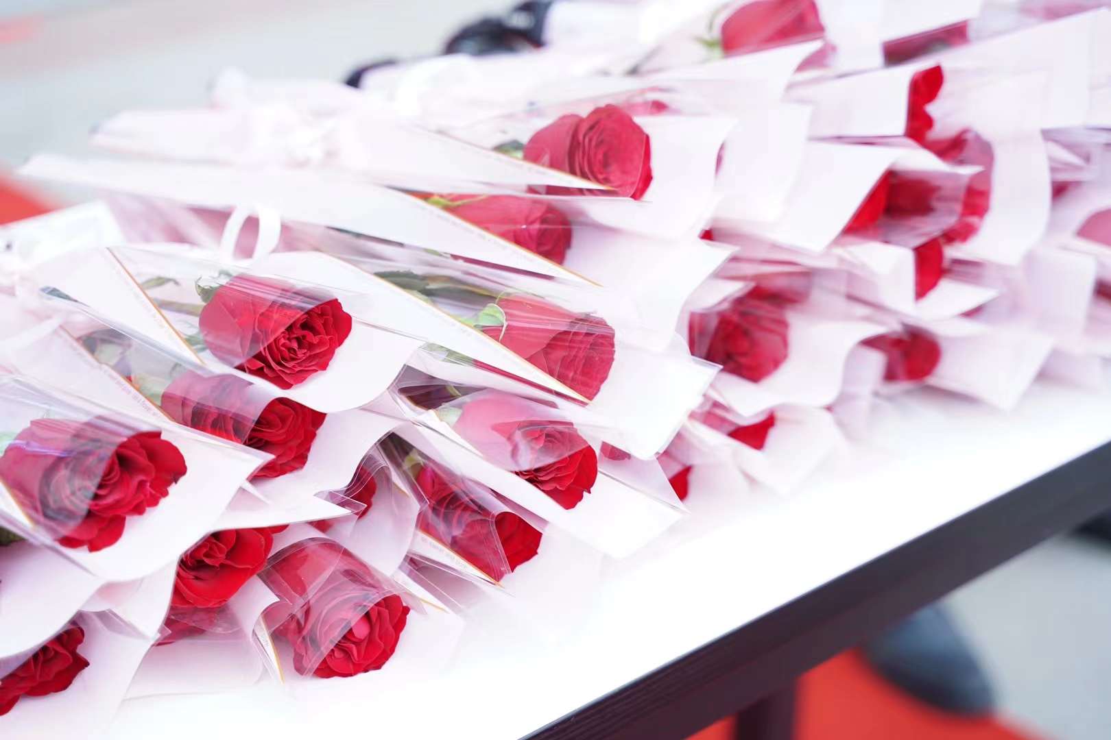 婦女節(jié)！獻給所有成都新華的女老師們