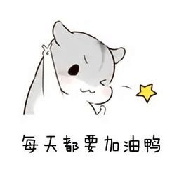 2024年成都新華秋季預(yù)科班火熱開啟！