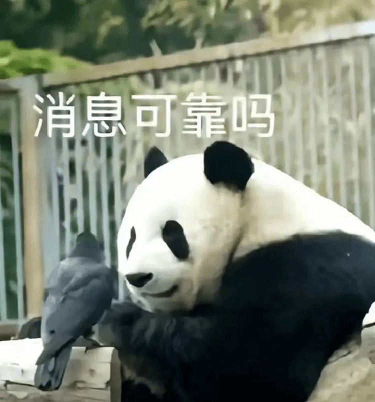 對(duì)口高考：升學(xué)壓力低，還可以沖本科