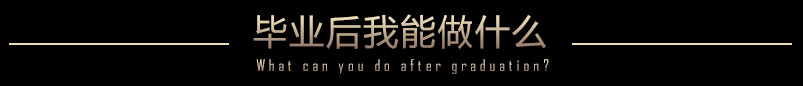 畢業(yè)后我能做什么